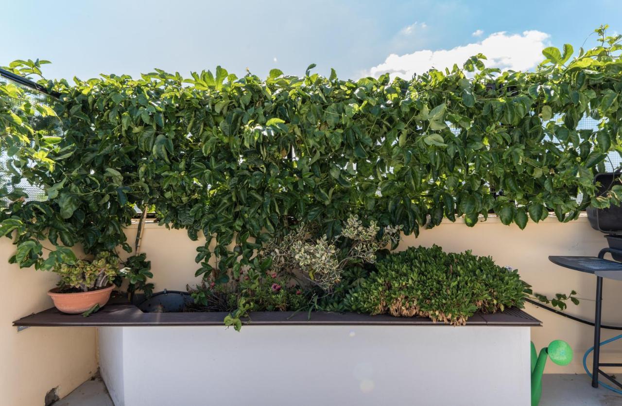 Casa Colibri - Solemar Sicilia Apartment Santa Flavia Bagian luar foto